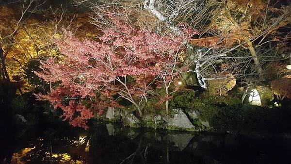 20161130_195642.jpg