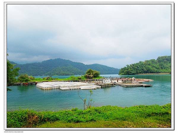 DSCN8496
