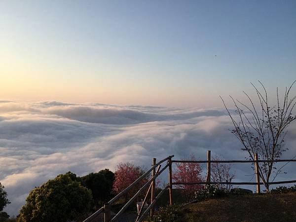 2015-02-24 司馬限360景觀露營賞雲海+228天狗優柿團露 448.JPG