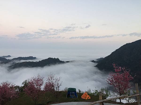 2015-02-24 司馬限360景觀露營賞雲海+228天狗優柿團露 542.JPG