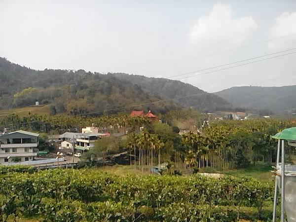IMG_20140314_113841.jpg