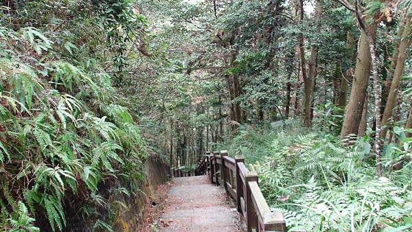 DSC02373.JPG