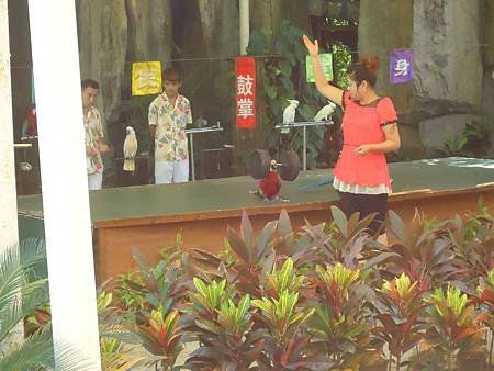 DSC07458_調整大小.JPG