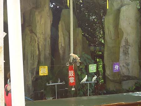 DSC07462_調整大小.JPG