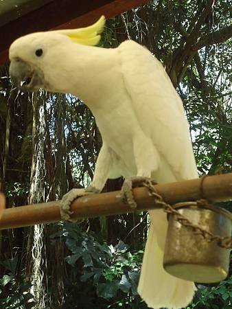 DSC07482_調整大小.jpg