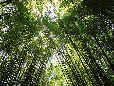 DSC07490_調整大小.JPG