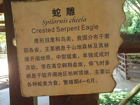DSC07494_調整大小.JPG