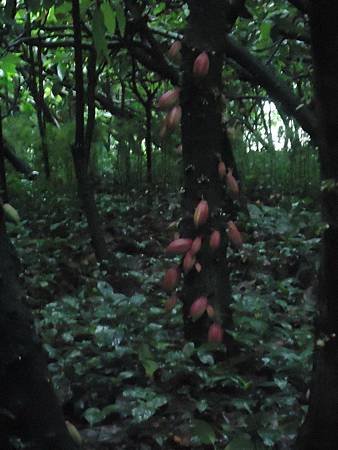 DSC07615_調整大小.jpg