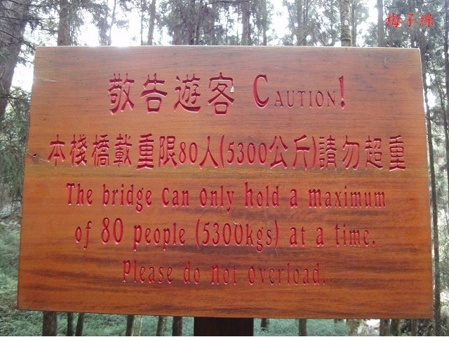 aDSC01051