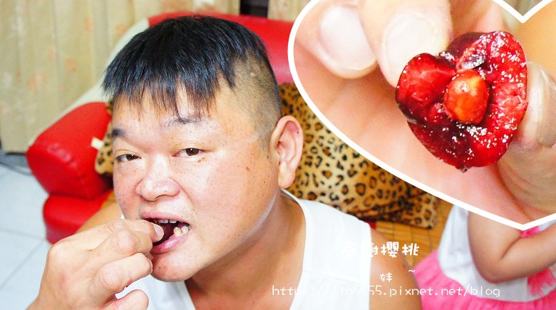春樹美國華盛頓櫻桃11.jpg
