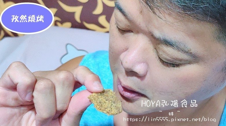 HOYA弘陽食品植物肉乾6.jpg