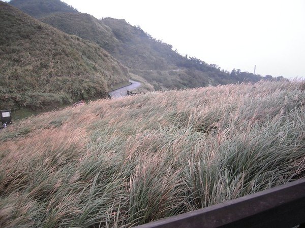草嶺古道6.jpg