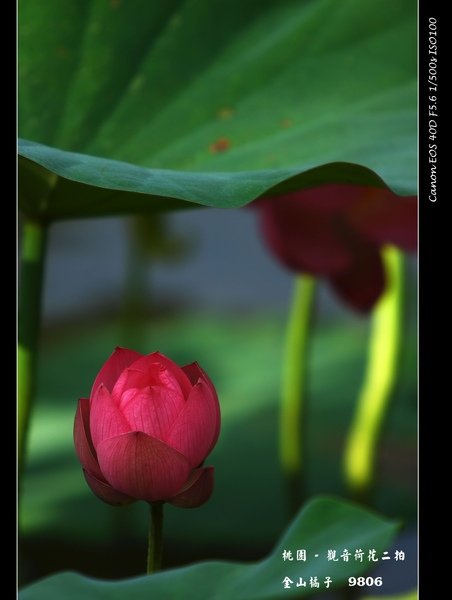 IMG_7997.JPG