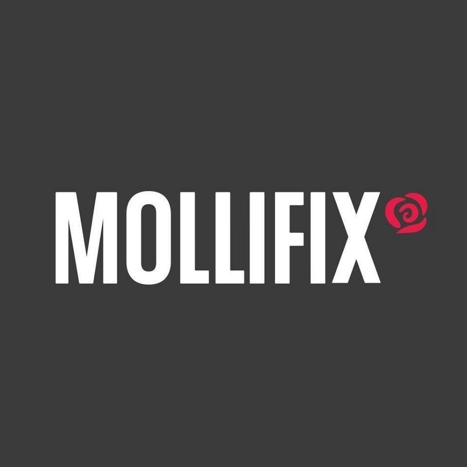 mollifix_logo.jpg