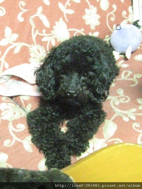照片 157.jpg