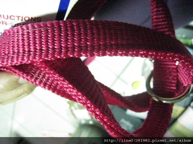 照片 073.jpg