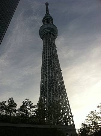 skytree2