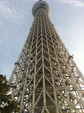 skytree3