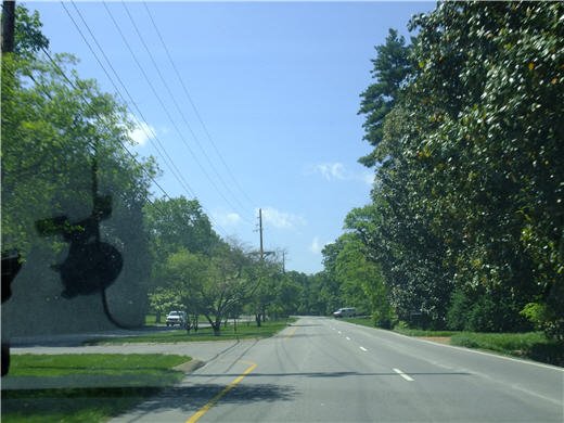 DSCF1281.jpg
