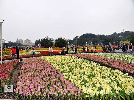 DSC_4129.jpg