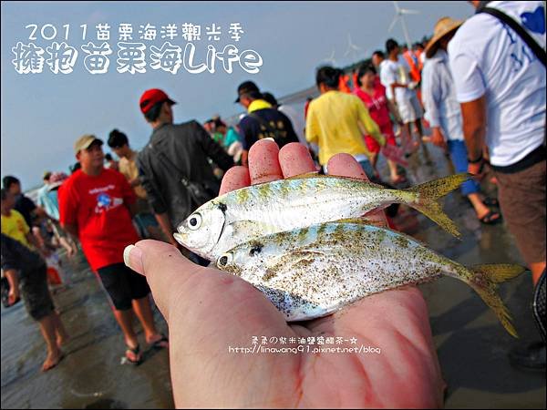 2011-0813-苗栗海洋觀光季-竹南-龍鳳漁港 (16).jpg