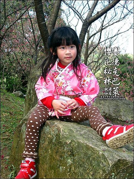 2012-0212-桃園-桃源仙谷-賽德克巴萊的櫻花秘林 (2).jpg