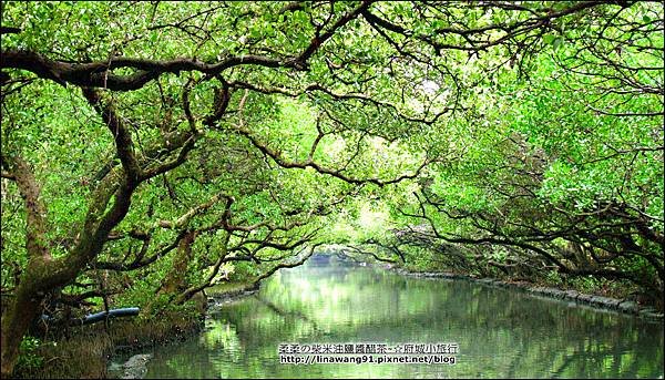 2012-1209-台南-四草紅樹林綠色隧道 (26).jpg