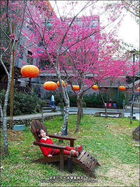 2014-0131-谷關溫泉公園 (3).jpg