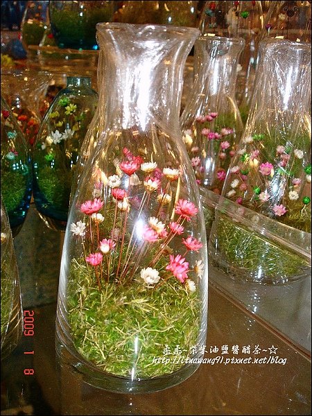 2009-0108 -屏東-海洋館 (4).jpg