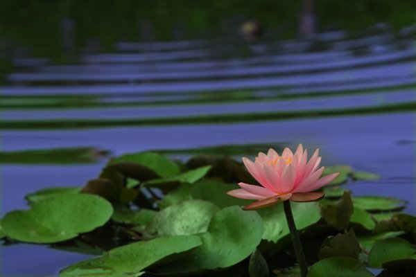 IMG_2255拷貝.jpg