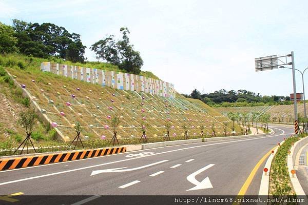 1000616-「魅色台灣」-苗栗聯大路-地錨彩繪- 008.jpg