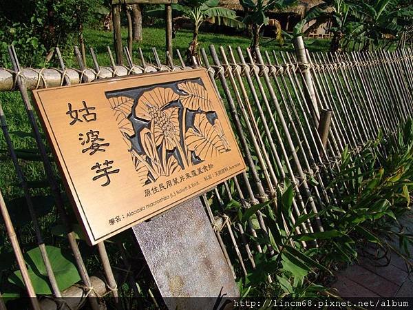 950719-2006宜蘭國際童玩節-武荖坑- 031.jpg