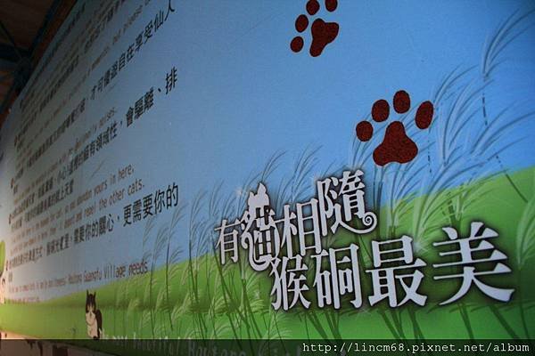 1000729-新北市-侯硐- (43).JPG