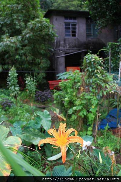 1000924-三貂嶺- 011.JPG
