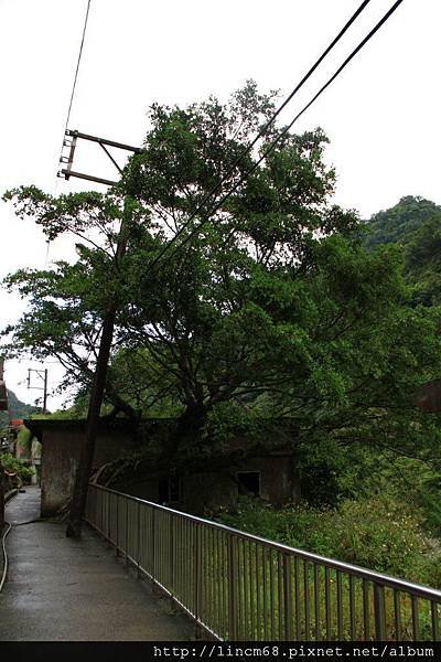 1000924-三貂嶺- 050.JPG