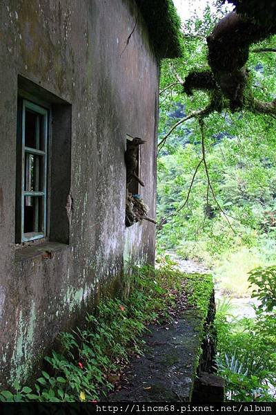 1000924-三貂嶺- 057.JPG