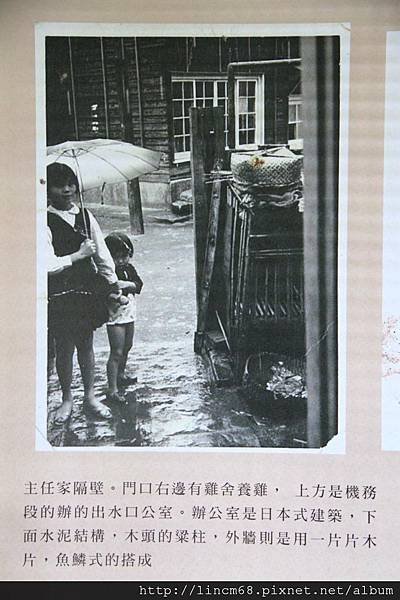 1000924-「平溪上的綠光寶盒」-三貂嶺-碩仁國小- (64).JPG