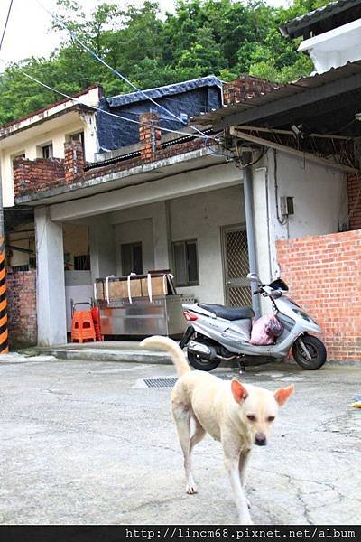 1000927-三貂嶺- 131.JPG