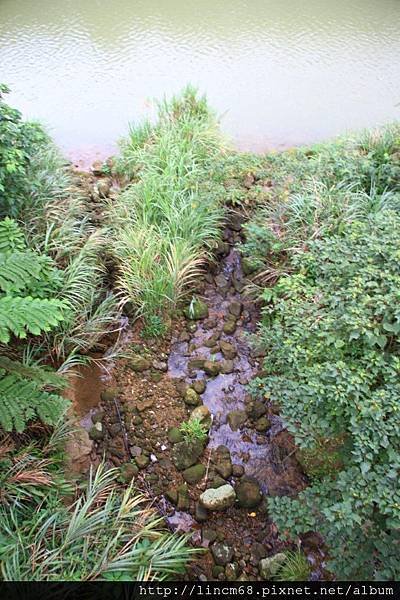 1000927-三貂嶺-樓仔溪- (4).JPG