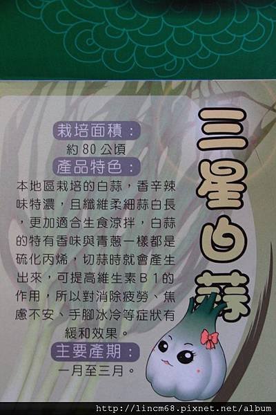 1001028-宜蘭縣三星鄉-青蔥文化館- (38).JPG