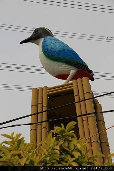 1010215-雲林縣-林內鄉-湖本村- (28)