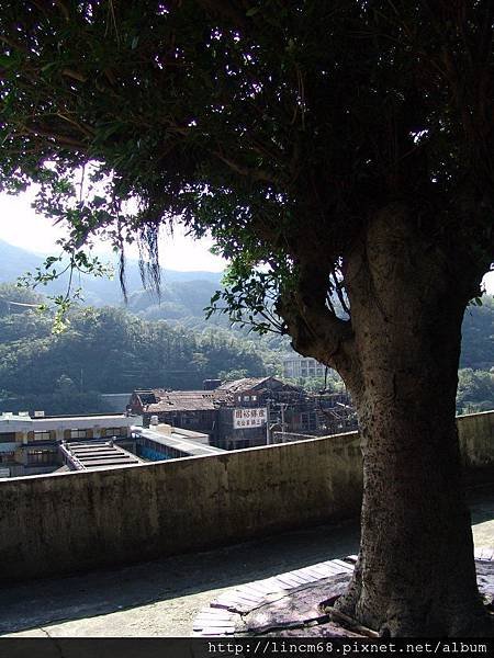 941103-侯硐- 043.jpg