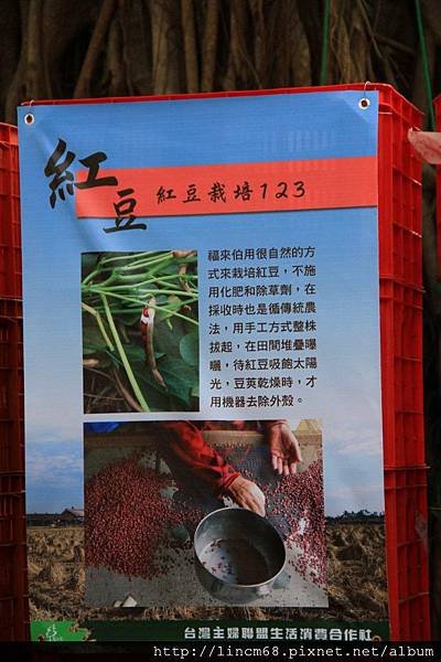 1000416-高雄橋頭糖廠（台灣糖業博物館）- (11).JPG