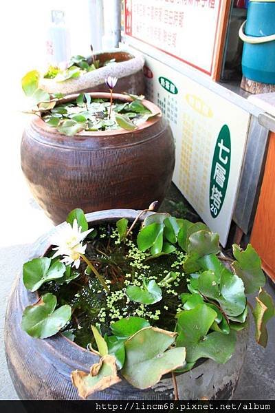 1000415-台南北門-街景- (12).JPG