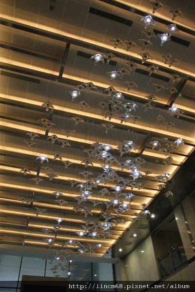 1000104-光年-林俊廷-中華電信仁愛大樓-  (21).JPG