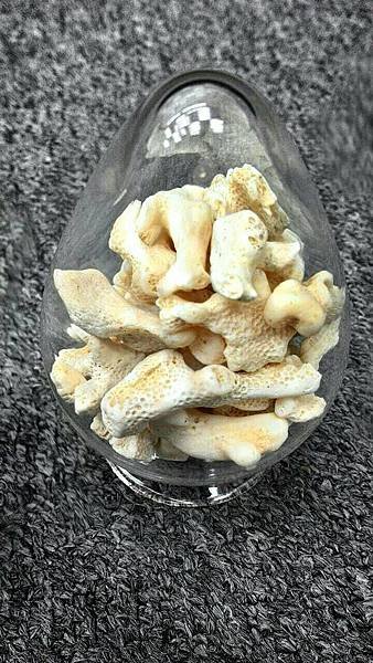 水舞鑽氫離子鹼性水機主要濾心原物料