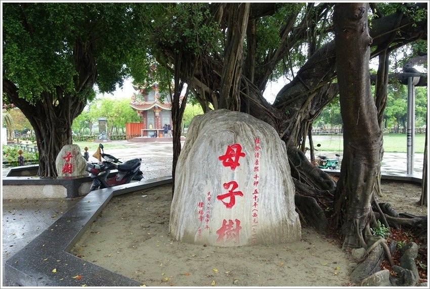 台南親子旅行-佳福寺-40M滾輪型超長溜滑梯~可烤肉~免門票