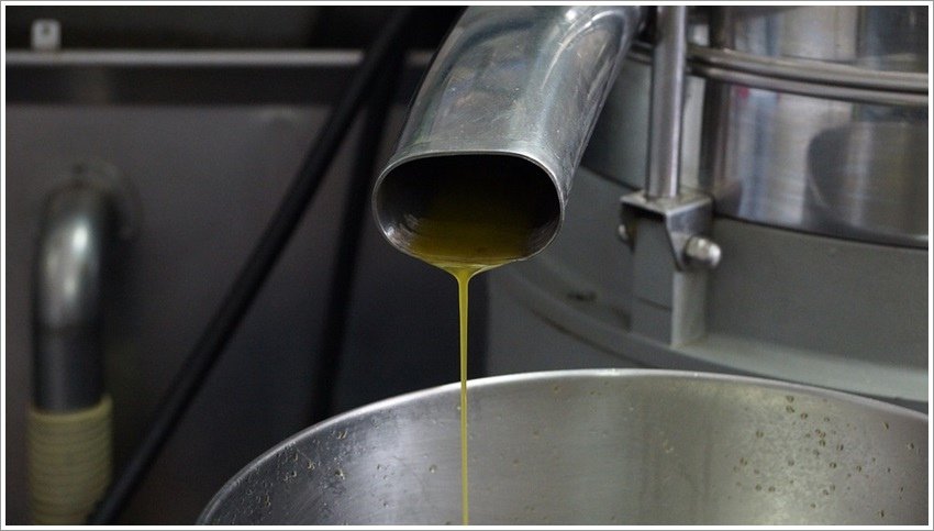 olive-oil-610366_960_720.jpg