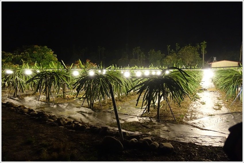 產地直送-中華郵政商城購物網日常生活用品非常便宜又好買堅持只賣好用、實用的商品