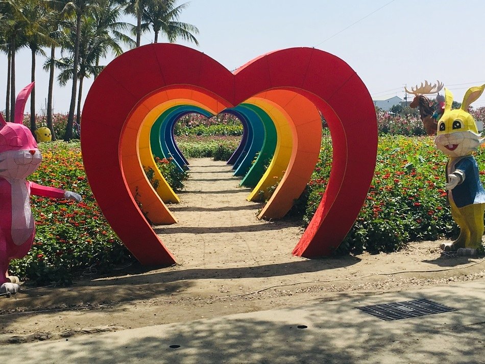 台南旅遊-學甲苓子寮木棉花道滿滿的木棉花海學甲光華里民活動中心蜀葵花花季